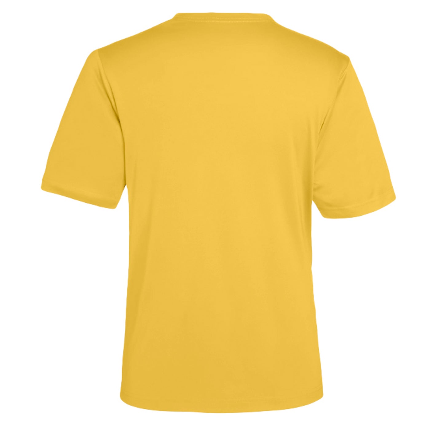 Campus Gold - CE10 - BACK